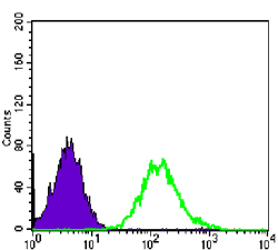 Flow cytometric analysis of PC-2 cells using CDC2 mouse mAb (green) and negative control (purple).