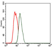 Flow cytometric analysis of MCF-7 cells using NKX2.2 mouse mAb (green) and negative control (red).