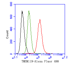 Fig3:; Flow cytometric analysis of TMEM119 was done on SH-SY5Y cells. The cells were fixed, permeabilized and stained with the primary antibody ( 1ug/ml) (red) compared with Rabbit IgG, monoclonal - Isotype Control (green). After incubation of the primary antibody at +4℃ for 1 hour, the cells were stained with a Alexa Fluor®488 conjugate-Goat anti-Rabbit IgG Secondary antibody at 1/1,000 dilution for 30 minutes at +4℃ (dark incubation).Unlabelled sample was used as a control (cells without incubation with primary antibody; black).
