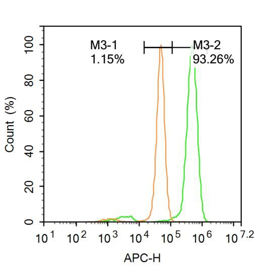 Fig5: Blank control (Black line): Hela (Black).; Primary Antibody (green line): Rabbit Anti-FOXN1 antibody ; Dilution: 1μg /10^6 cells;; Isotype Control Antibody (orange line): Rabbit IgG .; Secondary Antibody (white blue line): Goat anti-rabbit IgG-AF647; Dilution: 1μg /test.; Protocol; The cells were fixed with 4% PFA (10min at room temperature)and then permeabilized with 90% ice-cold methanol for 20 min at room temperature. The cells were then incubated in 5%BSA to block non-specific protein-protein interactions for 30 min at -20℃ .Cells stained with Primary Antibody for 30 min at room temperature. The secondary antibody used for 40 min at room temperature. Acquisition of 20,000 events was performed.