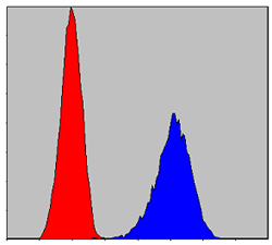 Flow cytometric analysis of PC-12 cells using anti-Pirh2 mAb (blue) and negative control (red).