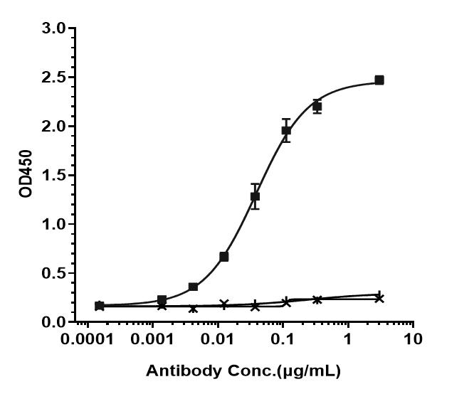 Bioactivity: ELISA
