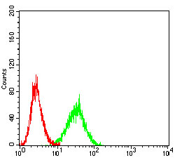 Fig4: Flow cytometric analysis of CD1C was done on Ramos cells. The cells were fixed, permeabilized and stained with the primary antibody ( 1/100) (green). After incubation of the primary antibody at room temperature for an hour, the cells were stained with a Alexa Fluor 488-conjugated goat anti-Mouse IgG Secondary antibody at 1/500 dilution for 30 minutes. Unlabelled sample was used as a control (cells without incubation with primary antibody; red).