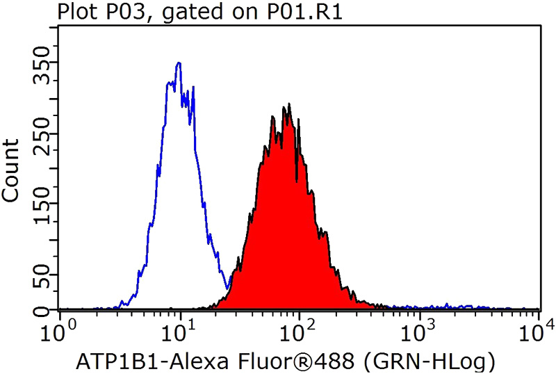 1X10^6 HEK-293 cells were stained with 0.2ug ATP1B1 antibody (Catalog No:108344, red) and control antibody (blue). Fixed with 90% MeOH blocked with 3% BSA (30 min). Alexa Fluor 488-congugated AffiniPure Goat Anti-Rabbit IgG(H+L) with dilution 1:1000.