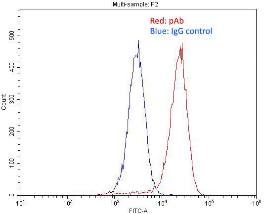 1X10^6 HepG2 cells were stained with .2ug IGF2R-Specific antibody (Catalog No:111682, red) and control antibody (blue). Fixed with 4% PFA blocked with 3% BSA (30 min). Alexa Fluor 488-congugated AffiniPure Goat Anti-Rabbit IgG(H+L) with dilution 1:1500.