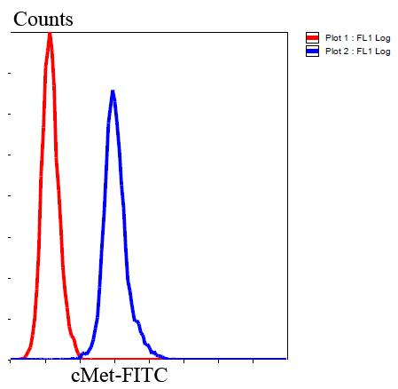 Fig8: Flow cytometric analysis of Hela cells with cMet antibody at 1/100 dilution (blue) compared with an unlabelled control (cells without incubation with primary antibody; red). Goat anti rabbit IgG (FITC) was used as the secondary antibody.