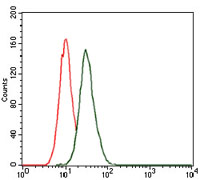 Flow cytometric analysis of HeLa cells using MAP1LC3B mouse mAb (green) and negative control (red).