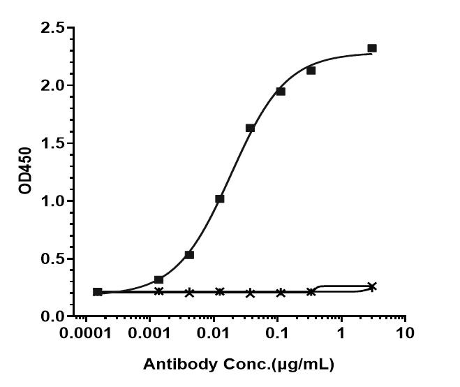Bioactivity: ELISA