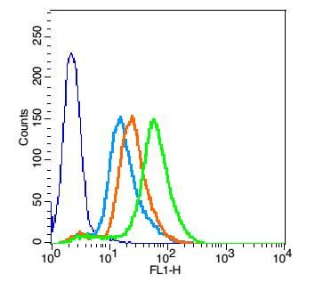 Fig3: Blank control: HCCLM3(blue); Isotype Control Antibody: Rabbit IgG(orange) ; Secondary Antibody: Goat anti-rabbit IgG-FITC(white blue), Dilution: 1:100 in 1 X PBS containing 0.5% BSA ; Primary Antibody Dilution: 5ul in 100 uL1X PBS containing 0.5% BSA(green).