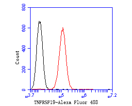 Fig4:; Flow cytometric analysis of TNFRSF19 was done on HepG2 cells. The cells were fixed, permeabilized and stained with the primary antibody ( 1/50) (red). After incubation of the primary antibody at room temperature for an hour, the cells were stained with a Alexa Fluor 488-conjugated Goat anti-Rabbit IgG Secondary antibody at 1/1000 dilution for 30 minutes.Unlabelled sample was used as a control (cells without incubation with primary antibody; black).