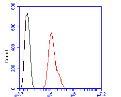 Fig5:; Flow cytometric analysis of EPHA2 was done on SHSY5Y cells. The cells were fixed, permeabilized and stained with the primary antibody ( 1/50) (red). After incubation of the primary antibody at room temperature for an hour, the cells were stained with a Alexa Fluor 488-conjugated Goat anti-Rabbit IgG Secondary antibody at 1/1000 dilution for 30 minutes.Unlabelled sample was used as a control (cells without incubation with primary antibody; black).