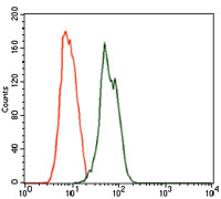 Flow cytometric analysis of MCF-7 cells using RAB4A mouse mAb (green) and negative control (red).