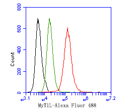 Fig4:; Flow cytometric analysis of MyT1L was done on SH-SY5Y cells. The cells were fixed, permeabilized and stained with the primary antibody ( 1ug/ml) (red) compared with Rabbit IgG, monoclonal - Isotype Control (green). After incubation of the primary antibody at +4℃ for 1 hour, the cells were stained with a Alexa Fluor®488 conjugate-Goat anti-Rabbit IgG Secondary antibody at 1/1,000 dilution for 30 minutes at +4℃ (dark incubation).Unlabelled sample was used as a control (cells without incubation with primary antibody; black).