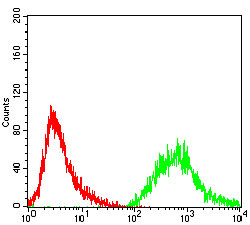Flow cytometric analysis of A431 cells using PTP1B mouse mAb (green) and negative control (red).