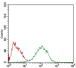 Flow cytometric analysis of HepG2 cells using MEF2A mouse mAb (green) and negative control (red).