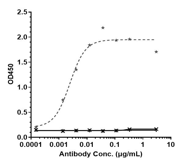 Bioactivity: ELISA