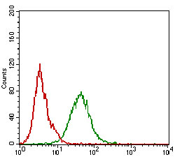 Flow cytometric analysis of A431 cells using CDH16 mouse mAb (green) and negative control (red).