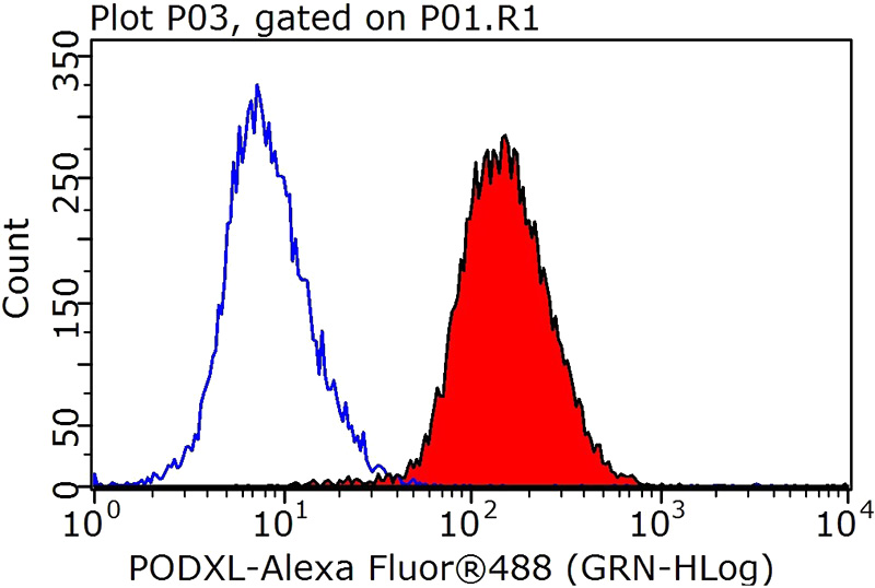 1X10^6 HeLa cells were stained with 0.2ug TRA-1-60 antibody (Catalog No:113988, red) and control antibody (blue). Fixed with 90% MeOH blocked with 3% BSA (30 min). Alexa Fluor 488-congugated AffiniPure Goat Anti-Rabbit IgG(H+L) with dilution 1:1000.