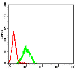 Fig4: Flow cytometric analysis of CD96 was done on K562 cells. The cells were fixed, permeabilized and stained with the primary antibody ( 1/100) (green). After incubation of the primary antibody at room temperature for an hour, the cells were stained with a Alexa Fluor 488-conjugated goat anti-Mouse IgG Secondary antibody at 1/500 dilution for 30 minutes. Unlabelled sample was used as a control (cells without incubation with primary antibody; red).