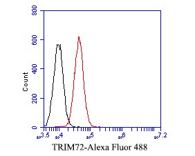 Fig4: Flow cytometric analysis of TRIM72 was done on A549 cells. The cells were fixed, permeabilized and stained with the primary antibody ( 1/50) (red). After incubation of the primary antibody at room temperature for an hour, the cells were stained with a Alexa Fluor 488-conjugated Goat anti-Mouse IgG Secondary antibody at 1/1000 dilution for 30 minutes.Unlabelled sample was used as a control (cells without incubation with primary antibody; black).
