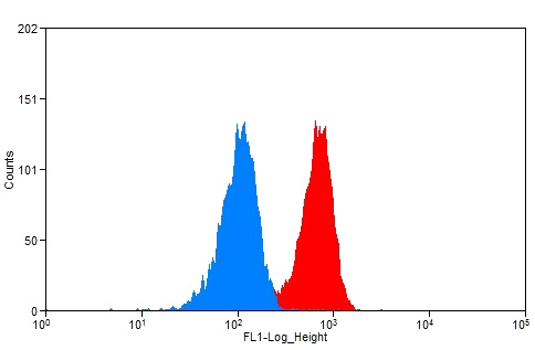 1X10^6 HeLa cells were stained with 0.2ug IFNGR2 antibody (Catalog No:111629, red) and control antibody (blue). Fixed with 90% MeOH blocked with 3% BSA (30 min). Alexa Fluor 488-congugated AffiniPure Goat Anti-Rabbit IgG(H+L) with dilution 1:1500.