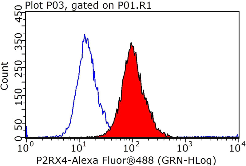 1X10^6 HeLa cells were stained with 0.2ug P2RX4 antibody (Catalog No:113542, red) and control antibody (blue). Fixed with 90% MeOH blocked with 3% BSA (30 min). Alexa Fluor 488-congugated AffiniPure Goat Anti-Rabbit IgG(H+L) with dilution 1:1000.