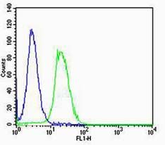 Fig3: Cell: NIH/3T3; Concentration:1:100; Host/Isotype:Rabbit/IgG; Flow cytometric analysis of primary antibody (Cat#: 175357#) on NIH/3T3(green) compared with Rabbit IgG isotype control in the absence of primary antibody (blue) followed by Alexa Fluor 488-conjugated goat anti-rabbit IgG(H+L) secondary antibody .