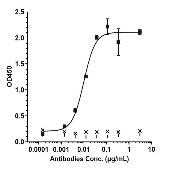 Bioactivity: ELISA
