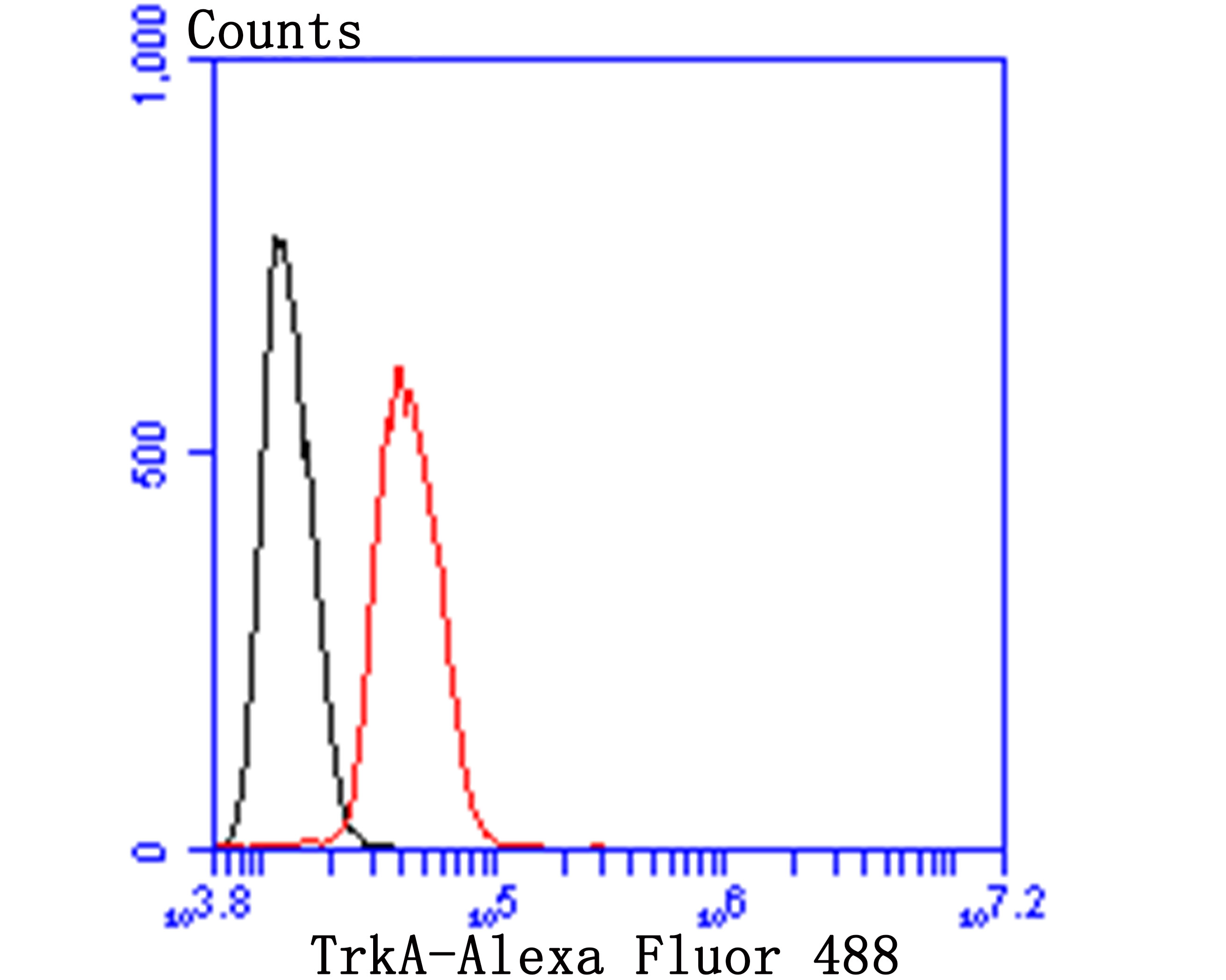Fig7: Flow cytometric analysis of SHSY5Y cells with TrkA 1/2 antibody at 1/100 dilution (blue) compared with an unlabelled control (cells without incubation with primary antibody; red). Goat anti rabbit IgG (FITC) was used as the secondary antibody.