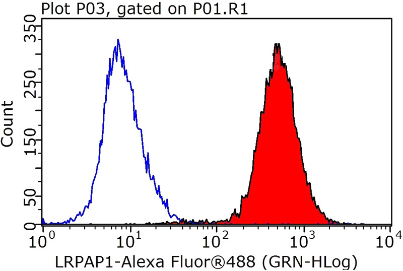 1X10^6 HeLa cells were stained with 0.2ug LRPAP1 antibody (Catalog No:112324, red) and control antibody (blue). Fixed with 90% MeOH blocked with 3% BSA (30 min). Alexa Fluor 488-congugated AffiniPure Goat Anti-Rabbit IgG(H+L) with dilution 1:1000.