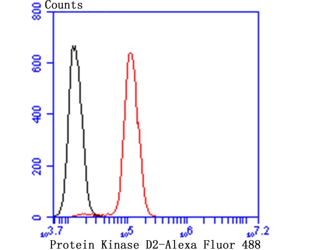 Fig5:; Flow cytometric analysis of Protein Kinase D2 was done on SH-SY5Y cells. The cells were fixed, permeabilized and stained with the primary antibody ( 1/50) (red). After incubation of the primary antibody at room temperature for an hour, the cells were stained with a Alexa Fluor 488-conjugated Goat anti-Rabbit IgG Secondary antibody at 1/1000 dilution for 30 minutes.Unlabelled sample was used as a control (cells without incubation with primary antibody; black).
