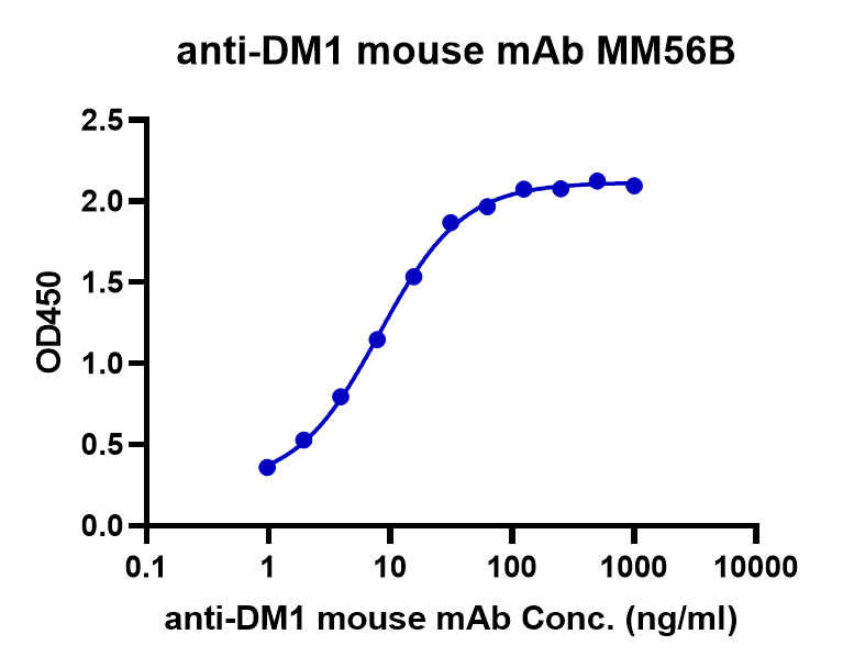 ELISA Binding Assay of Anti-DM1 Antibody