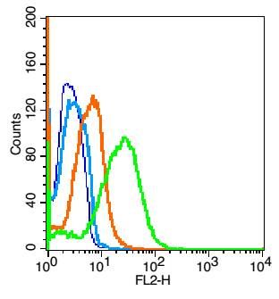Fig3: Blank control(blue): Mouse liver cells(fixed with 2% paraformaldehyde (10 min) , then permeabilized with 90% ice-cold methanol for 30 min on ice).; Primary Antibody: Rabbit Anti-IL22 antibody , Dilution: 1μg in 100 μL 1X PBS containing 0.5% BSA;; Isotype Control Antibody: Rabbit IgG (orange) ,used under the same conditions.; Secondary Antibody: Goat anti-rabbit IgG-PE (white blue), Dilution: 1:200 in 1 X PBS containing 0.5% BSA.