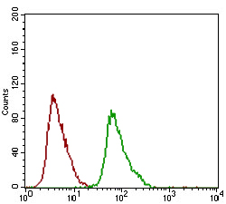 Flow cytometric analysis of HEK293 cells using DNM1L mouse mAb (green) and negative control (red).