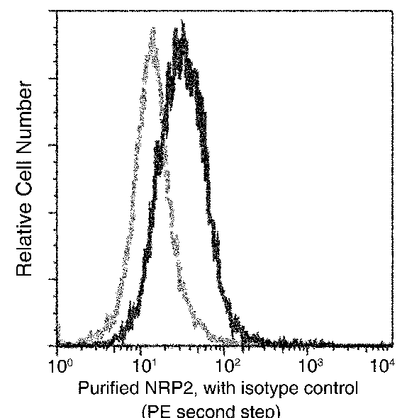 Human NRP2/Neuropilin-2 Flow Cytometry (FC) 15128