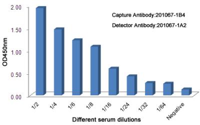 Observed Ferritin Light Chain levels in Human serum samples at different dilution.