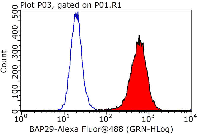 1X10^6 HEK-293 cells were stained with 0.2ug BCAP29 antibody (Catalog No:108420, red) and control antibody (blue). Fixed with 90% MeOH blocked with 3% BSA (30 min). FITC-Goat anti-Rabbit IgG with dilution 1:100.