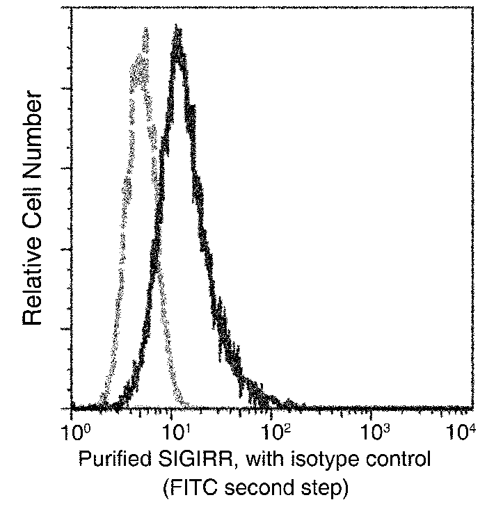 SIGIRR / TIR8 Antibody, Rabbit MAb, Flow Cytometry
