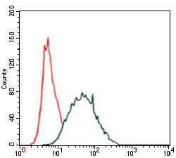 Flow cytometric analysis of HeLa cells using CK5 mouse mAb (green) and negative control (red).