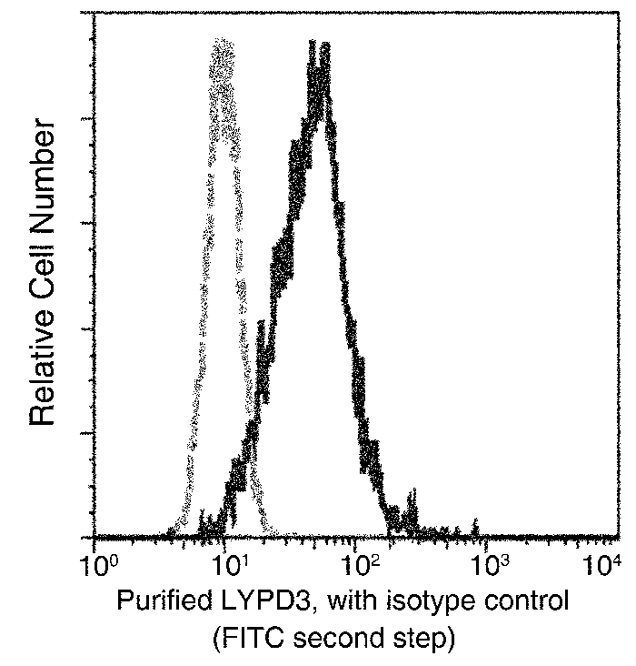 C4.4A / LYPD3 Antibody, Rabbit MAb