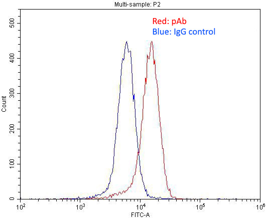 1X10^6 SH-SY5Y cells were stained with 0.2ug EPHA8 antibody (Catalog No:110382, red) and control antibody (blue). Fixed with 4% PFA blocked with 3% BSA (30 min). Alexa Fluor 488-congugated AffiniPure Goat Anti-Rabbit IgG(H+L) with dilution 1:1500.