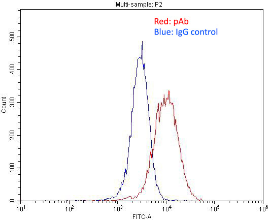 1X10^6 HepG2 cells were stained with .2ug ITPR1-specific antibody (Catalog No:111960, red) and control antibody (blue). Fixed with 4% PFA blocked with 3% BSA (30 min). Alexa Fluor 488-congugated AffiniPure Goat Anti-Rabbit IgG(H+L) with dilution 1:1500.