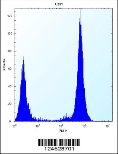 TLR4 Antibody (Center) (Cat. #169131) flow cytometric analysis of U251 cells (right histogram) compared to a negative control cell (left histogram).FITC-conjugated goat-anti-rabbit secondary antibodies were used for the analysis.