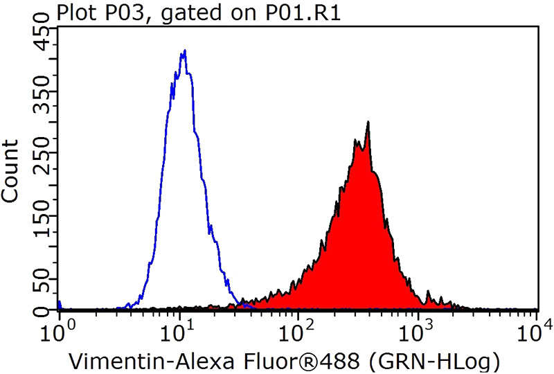 1X10^6 HeLa cells were stained with 0.2ug Vimentin antibody (Catalog No:116753, red) and control antibody (blue). Fixed with 4% PFA blocked with 3% BSA (30 min). Alexa Fluor 488-congugated AffiniPure Goat Anti-Rabbit IgG(H+L) with dilution 1:1000.