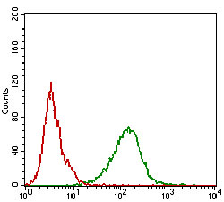 Flow cytometric analysis of A431 cells using SDC1 mouse mAb (green) and negative control (red).