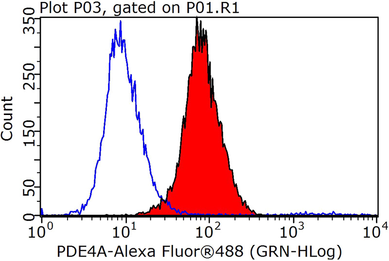 1X10^6 SH-SY5Y cells were stained with 0.2ug PDE4A antibody (Catalog No:113661, red) and control antibody (blue). Fixed with 90% MeOH blocked with 3% BSA (30 min). Alexa Fluor 488-congugated AffiniPure Goat Anti-Rabbit IgG(H+L) with dilution 1:1000.