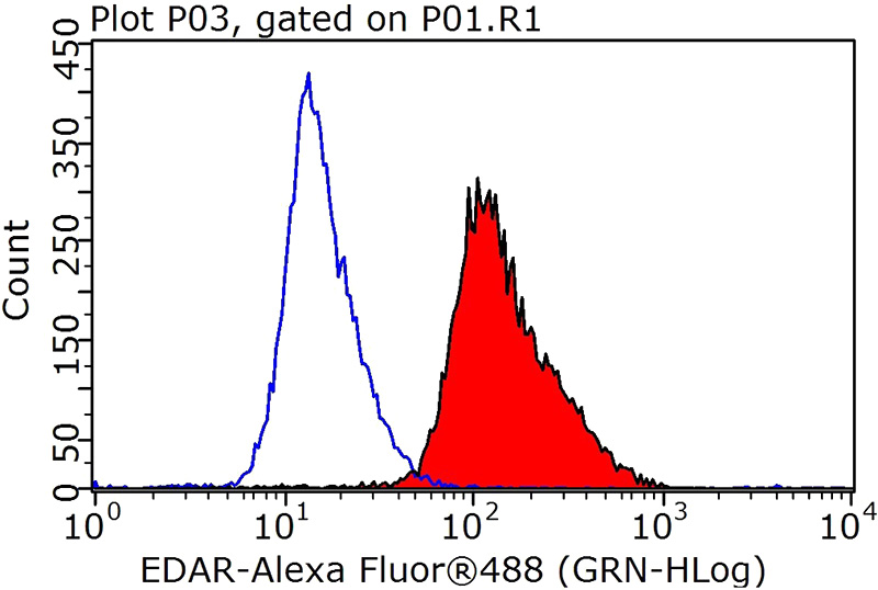 1X10^6 HepG2 cells were stained with 0.2ug EDAR antibody (Catalog No:110298, red) and control antibody (blue). Fixed with 90% MeOH blocked with 3% BSA (30 min). Alexa Fluor 488-congugated AffiniPure Goat Anti-Rabbit IgG(H+L) with dilution 1:1000.