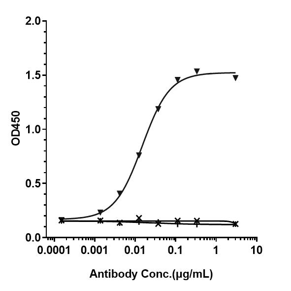 Bioactivity: ELISA