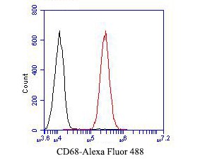 Fig7: Flow cytometric analysis of CD68 was done on A549 cells. The cells were fixed, permeabilized and stained with the primary antibody ( 1/50) (red). After incubation of the primary antibody at room temperature for an hour, the cells were stai