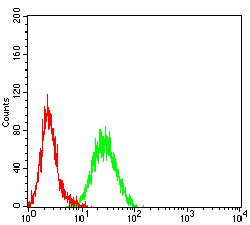 Fig5: Flow cytometric analysis of KMT2D was done on Hela cells. The cells were fixed, permeabilized and stained with the primary antibody ( 1/100) (green). After incubation of the primary antibody at room temperature for an hour, the cells were stained with a Alexa Fluor 488-conjugated goat anti-Mouse IgG Secondary antibody at 1/500 dilution for 30 minutes. Unlabelled sample was used as a control (cells without incubation with primary antibody; red).